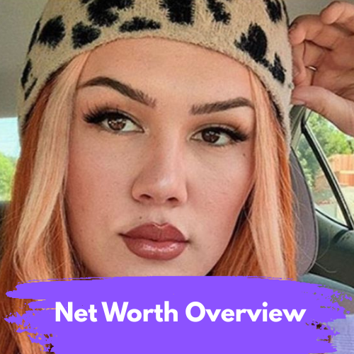 Net Worth Overview